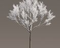 Maple Frosted Tree Silhouette 3d model