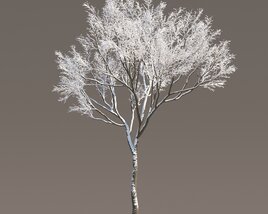 Maple Winter's Silhouette Modello 3D