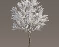Maple Frost-Covered Tree 3D модель