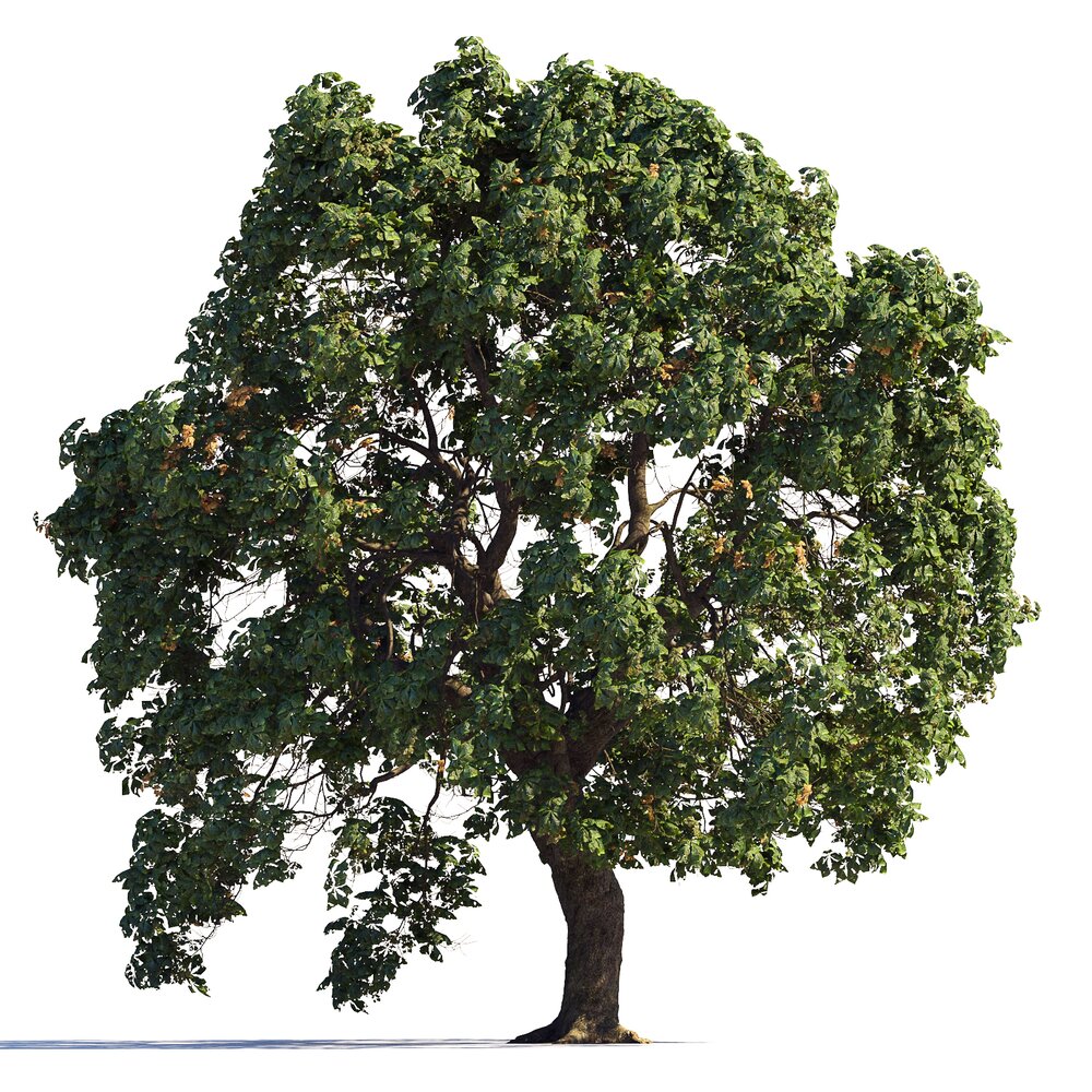 Verdant Chestnut Tree Park 3d model