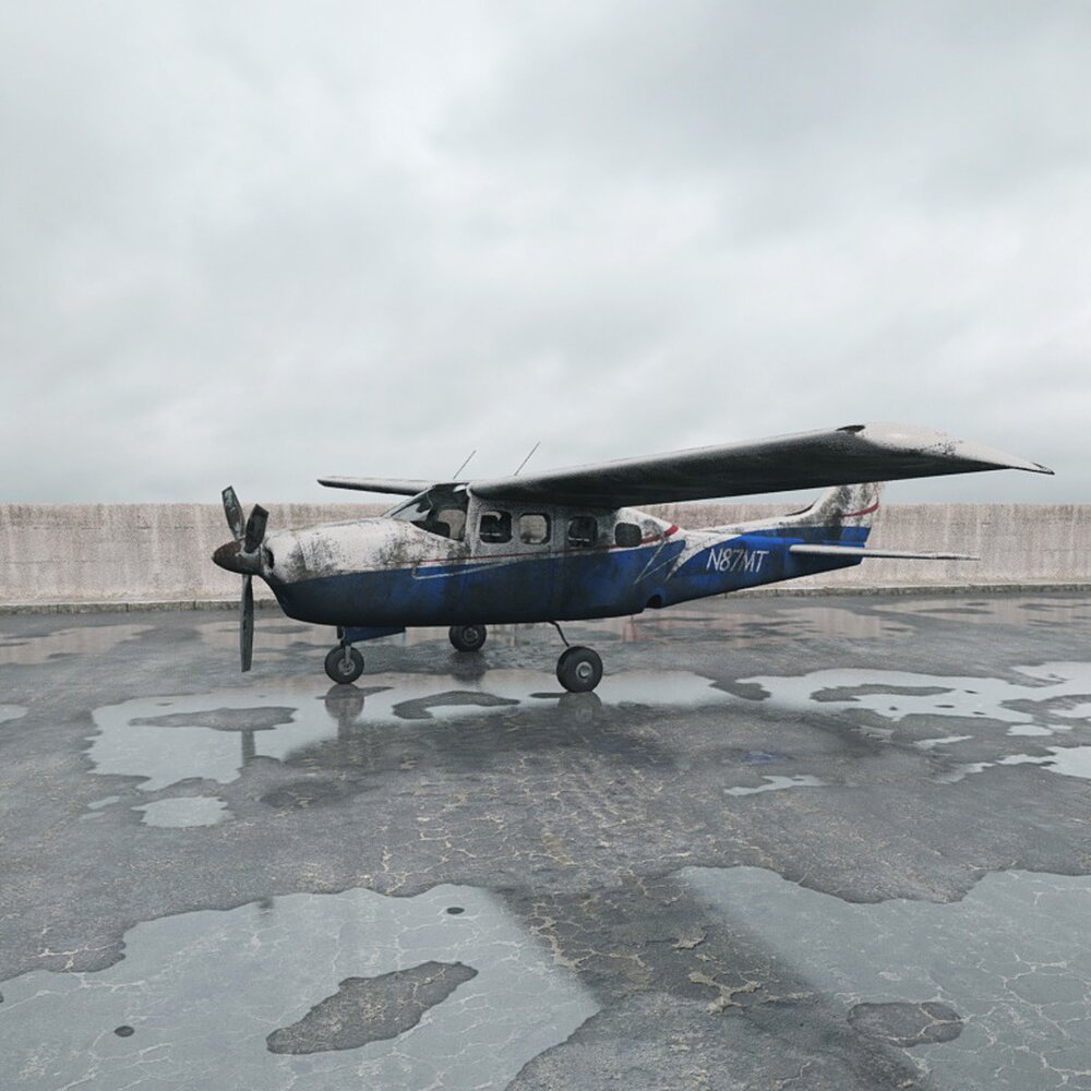 Abandoned Airplane 3Dモデル