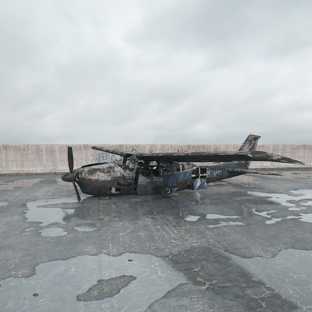 Abandoned Airplane 02 3d model