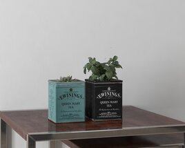 Decorative Plant Containers 3D 모델 