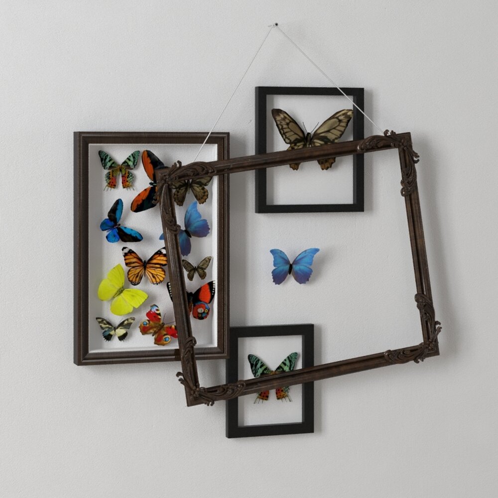 Butterfly Frame Collage Modèle 3D