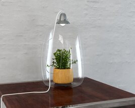 Modern Tabletop Glass Terrarium 3D 모델 