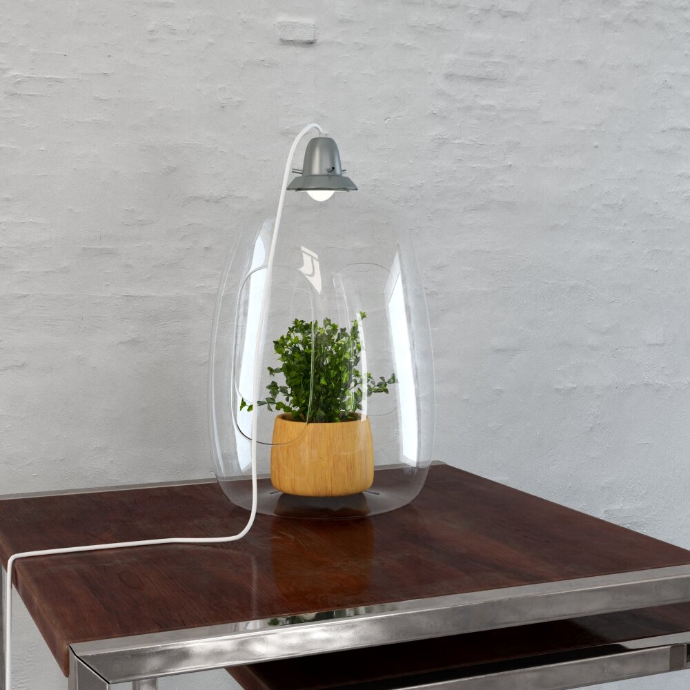 Modern Tabletop Glass Terrarium 3D model