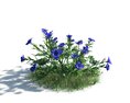 Bluebell Flower Cluster Modelo 3d