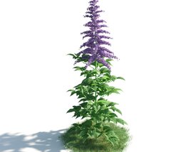 Purple Flowering Plant 3Dモデル