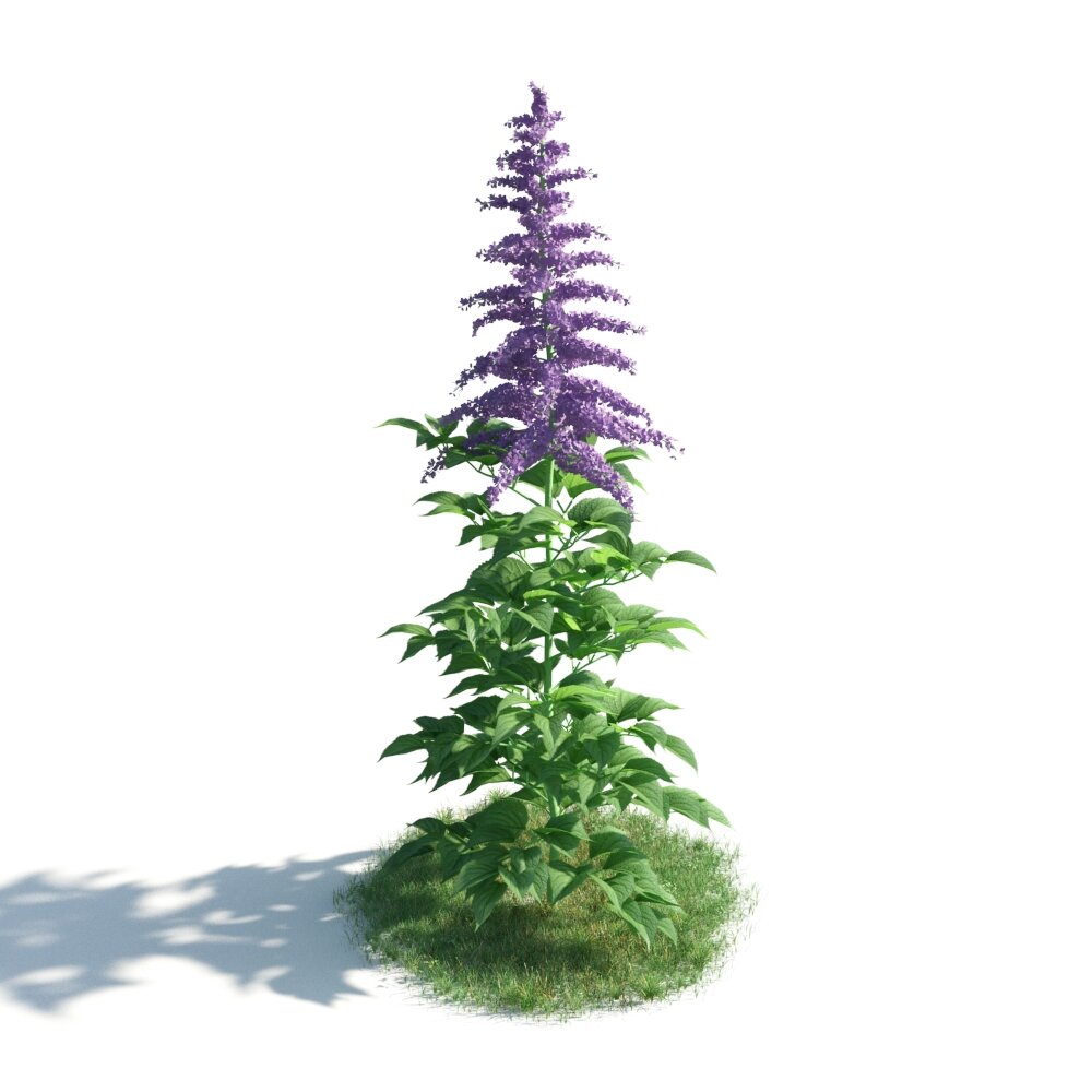 Purple Flowering Plant 3D 모델 