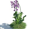 Purple Flower Plant Modello 3D