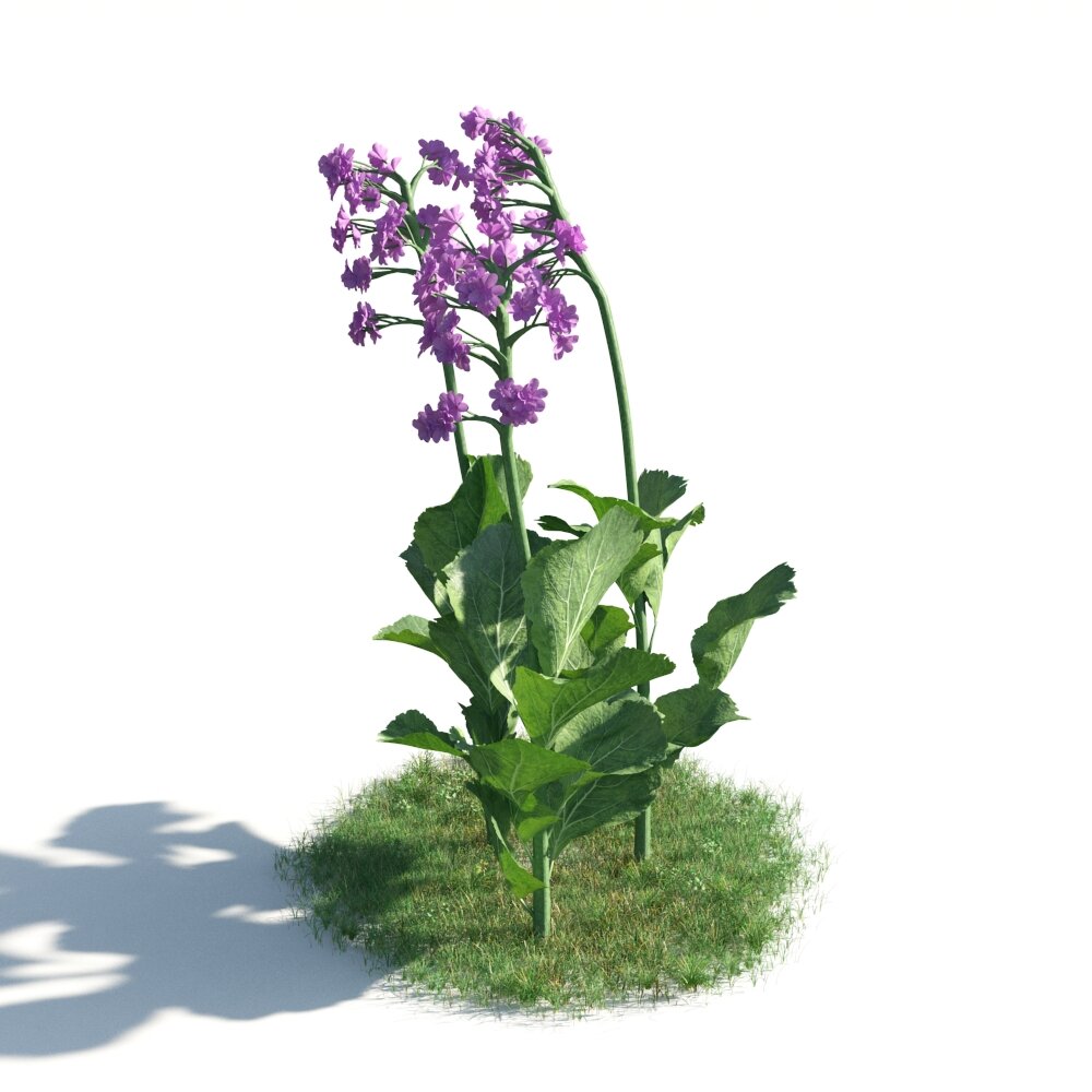 Purple Flower Plant Modelo 3d