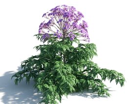 Purple Flowering Plant 02 3D модель
