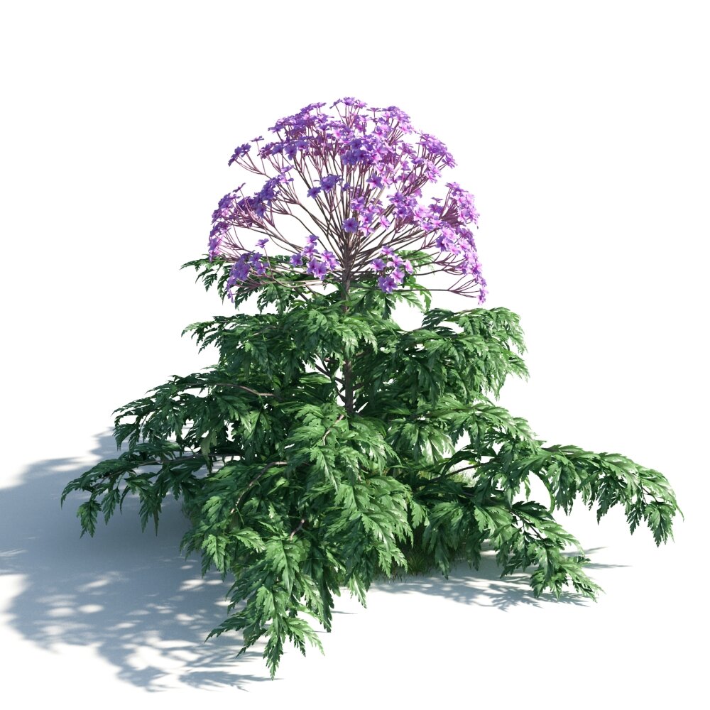 Purple Flowering Plant 02 Modello 3D