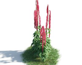Lush Plant with Red Flower Spikes 3D модель