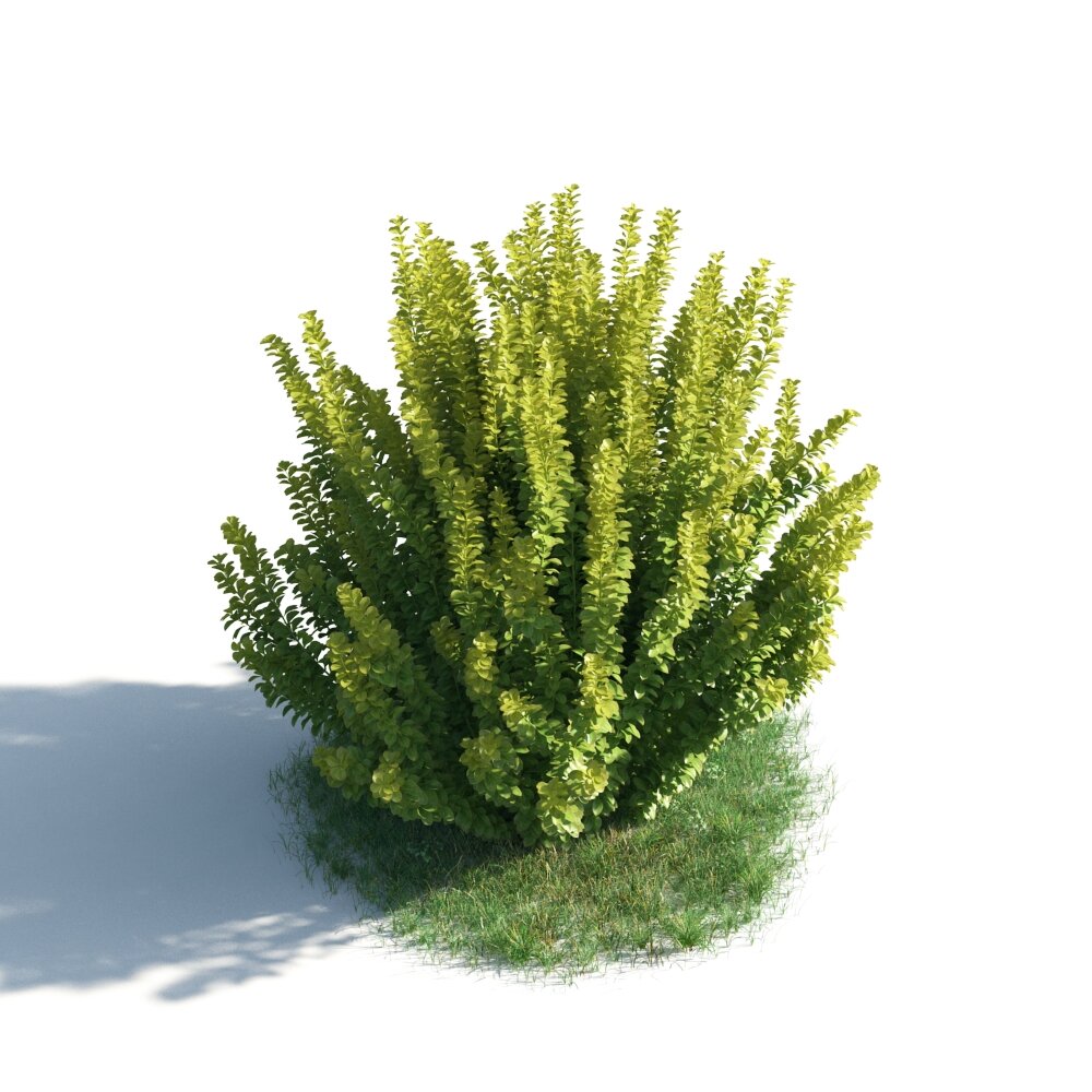 Verdant Green Shrub 02 3D模型