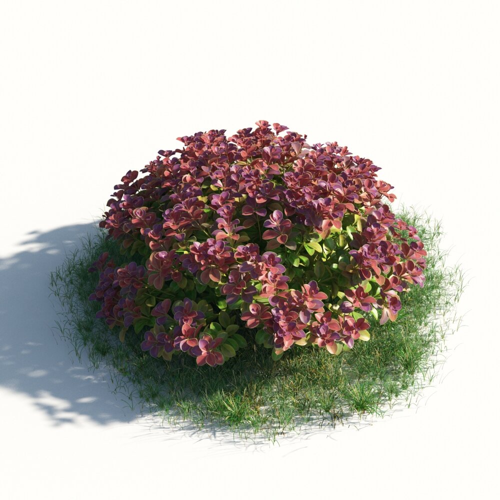 Blooming Flower Shrub 3d model
