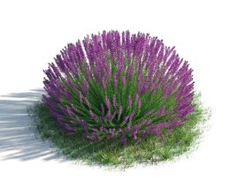 Purple Blossom Shrub 3D model