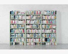 3D model of Bookshelves Filled with Books