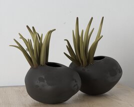 Modern Ceramic Planters with Succulents 3D модель