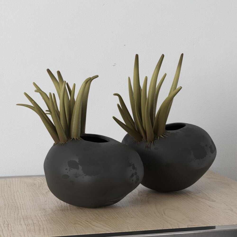 Modern Ceramic Planters with Succulents Modello 3D
