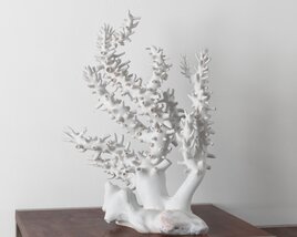 White Coral Sculpture Modèle 3D