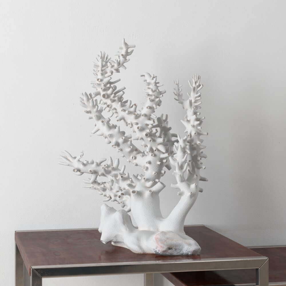 White Coral Sculpture Modello 3D