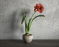 Red Amaryllis in Pot 3Dモデル