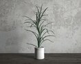 Indoor Potted Plant Aloe Vera Modelo 3d