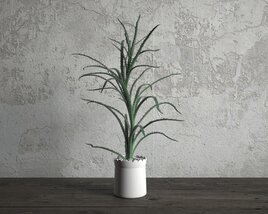 Indoor Potted Plant Aloe Vera 3D-Modell