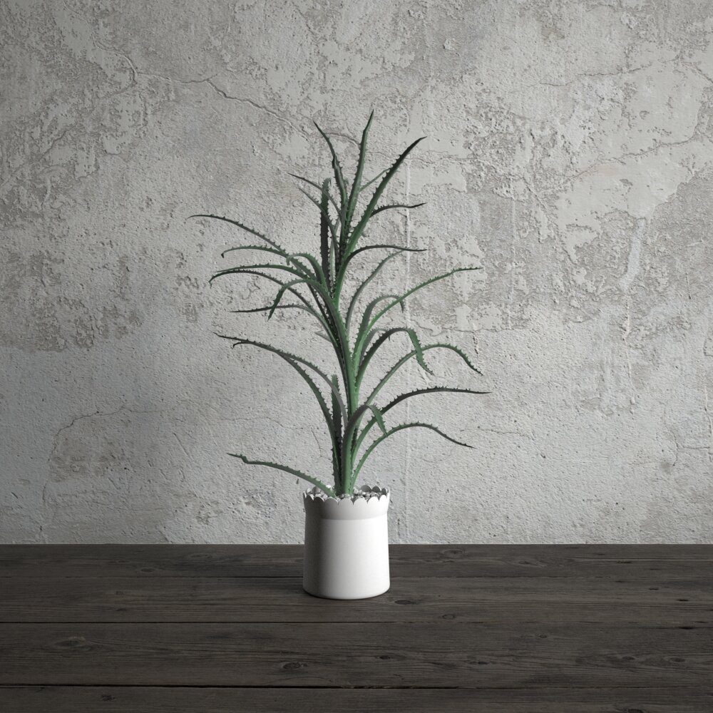 Indoor Potted Plant Aloe Vera 3Dモデル