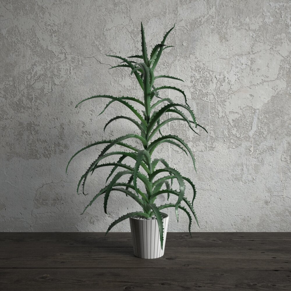 Indoor Potted Aloe Vera 3D-Modell