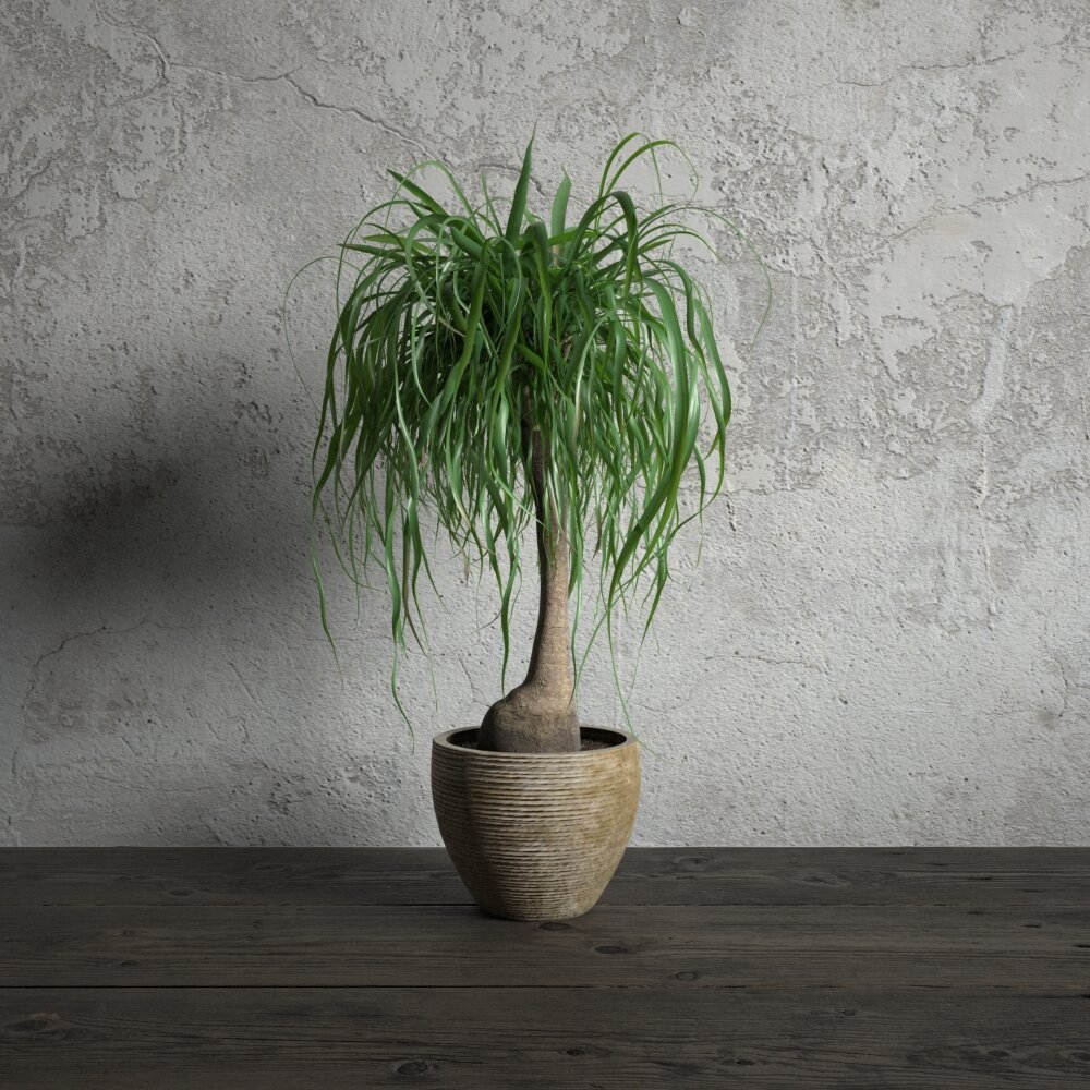 Potted Greencuration Lovelina Palm 3D model
