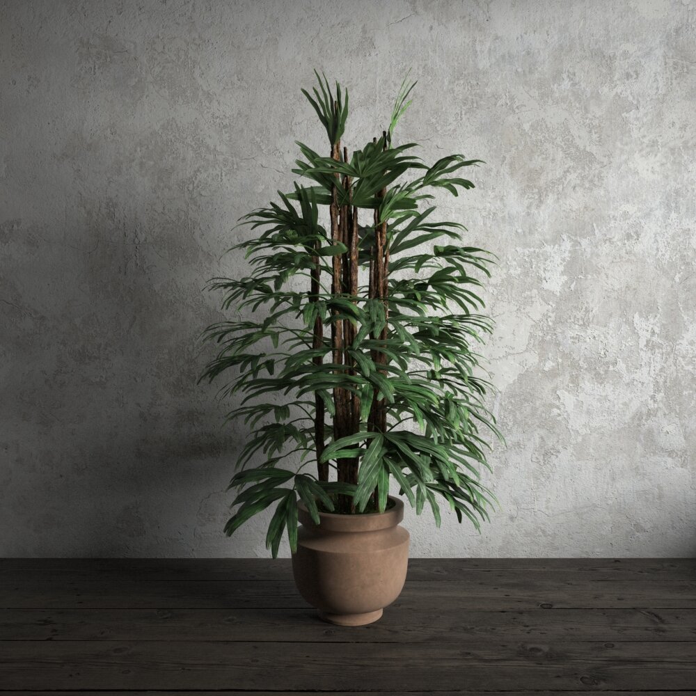 Indoor Reyfus Plant 3d model