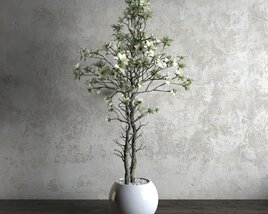 Blooming Plant in Vase 3D модель