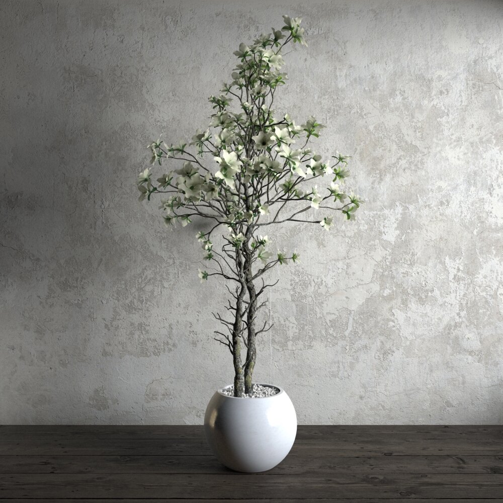 Blooming Plant in Vase 3D-Modell