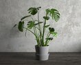 Indoor Potted Monstera Plant 3d model