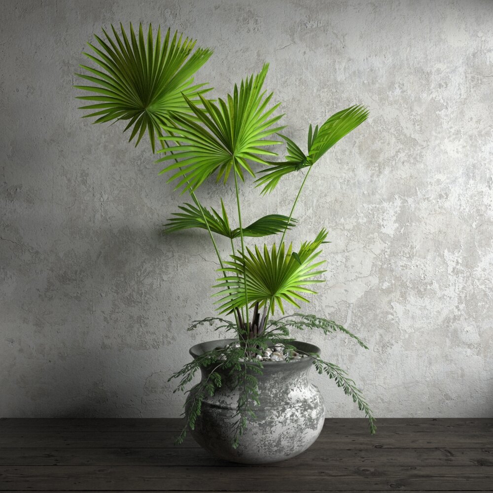 Indoor Potted Palm Plant 3D модель