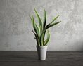 Indoor Potted Snake Plant Modello 3D