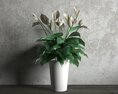 Peace Lily in White Vase Modello 3D