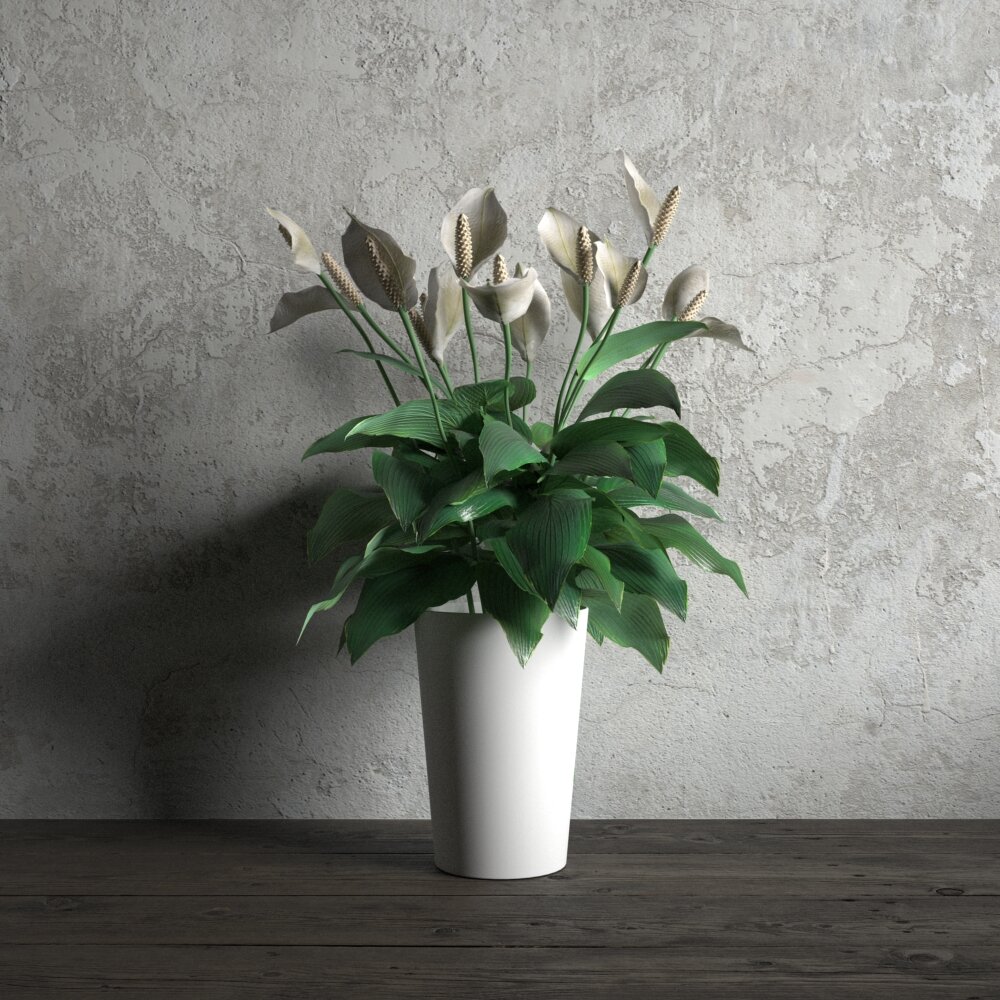 Peace Lily in White Vase 3D модель