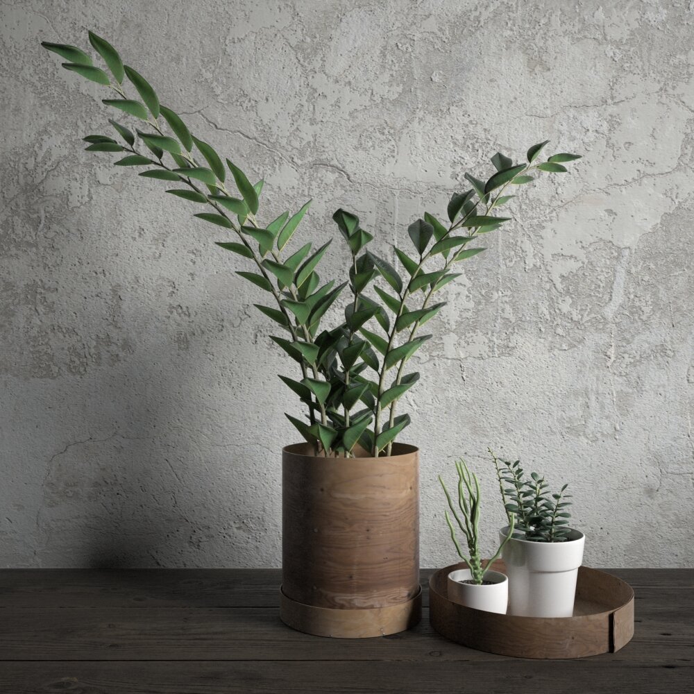 Modern Potted Plants 3d model