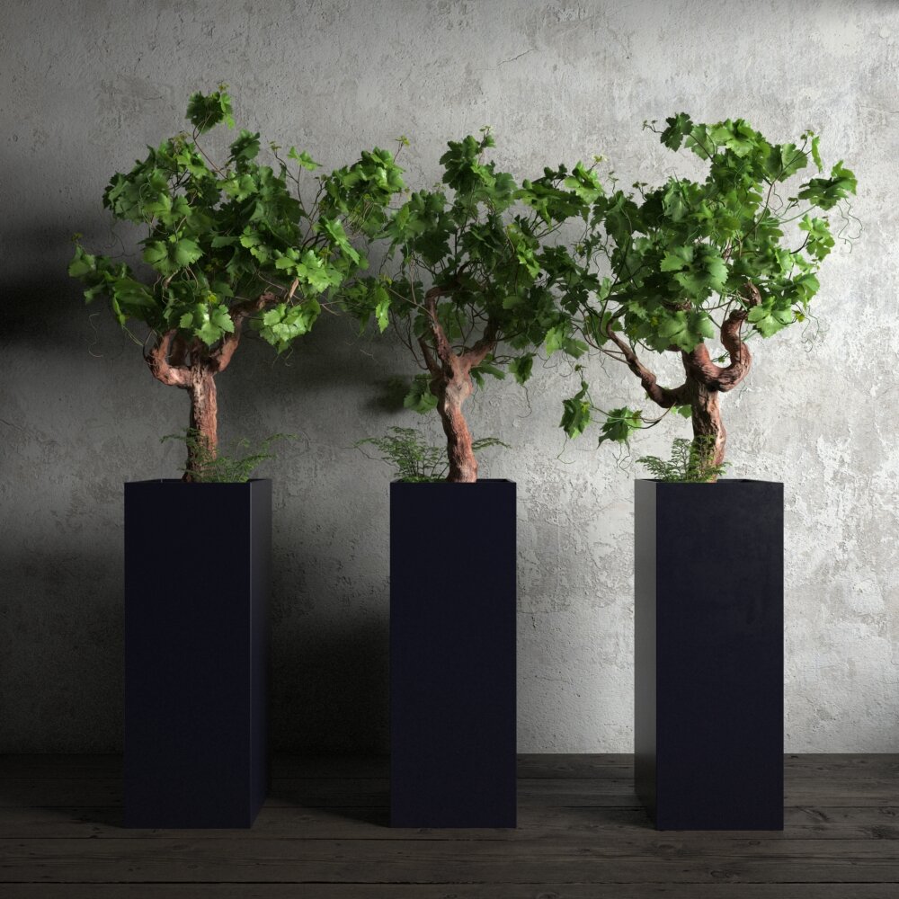 Indoor Twisted Small Trees Modello 3D