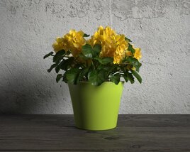 Yellow Potted Flowers 3D модель