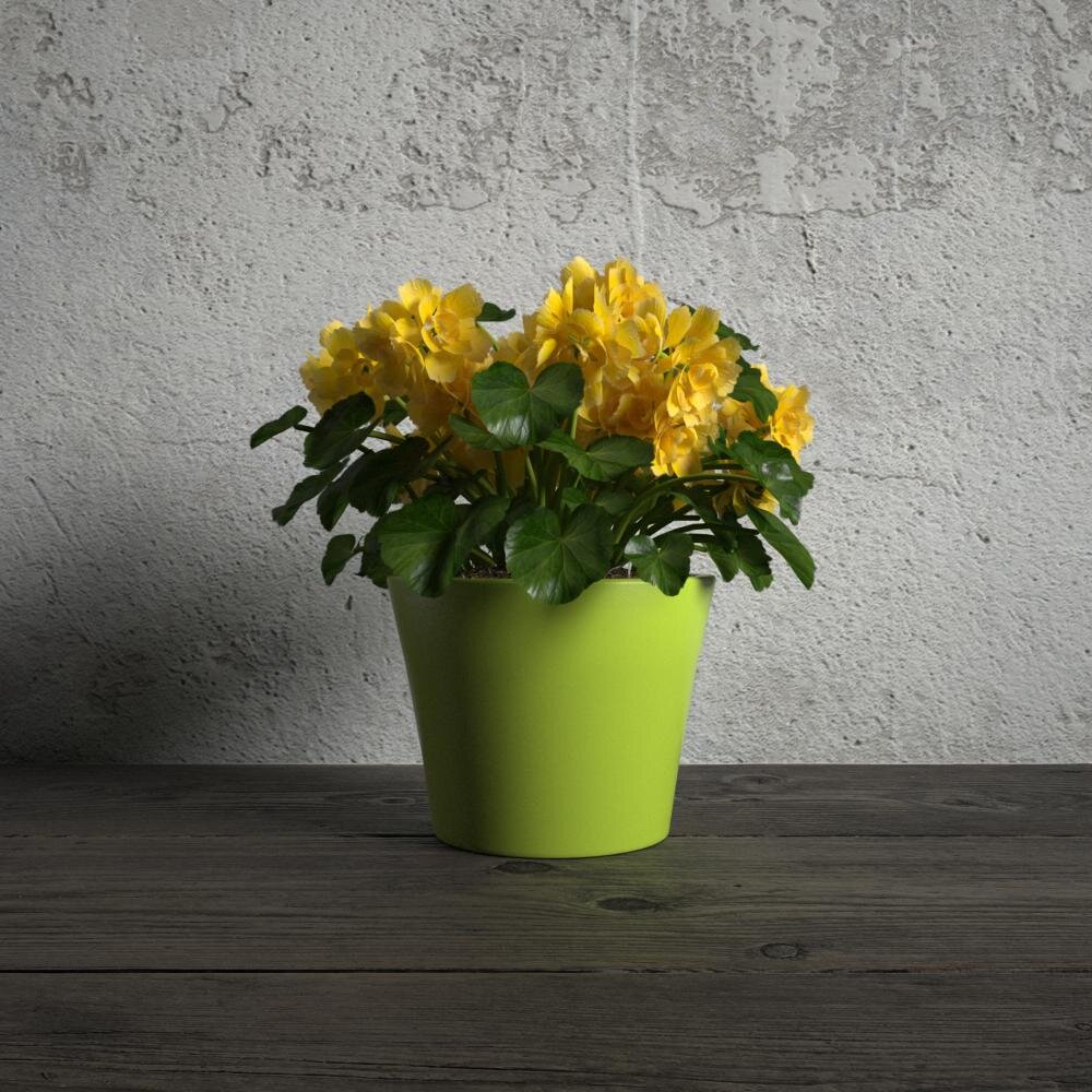 Yellow Potted Flowers Modelo 3d