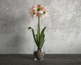 Amaryllis in Glass Vase 3D 모델 