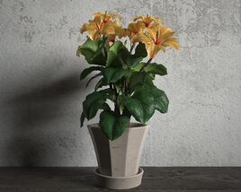 Potted Artificial Hibiscus Plant Modello 3D