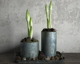 Potted Plant Duo 3D 모델 