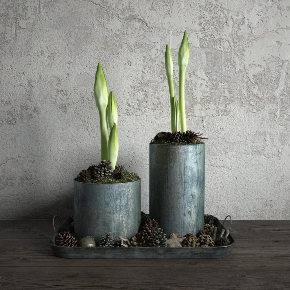 Potted Plant Duo 3d model