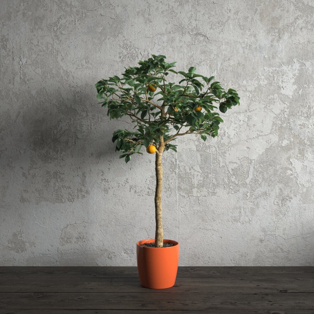 Indoor Potted Orange Tree 3D модель