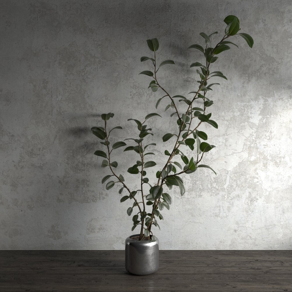 Minimalist Vase with Ficus Modello 3D